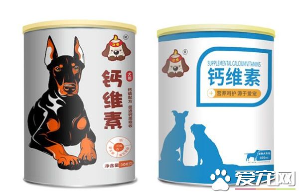 泰迪腿断了能自愈吗