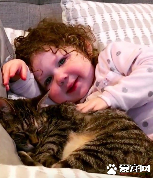 在妈妈的指导之下 小女孩超有慧根成为称职猫奴