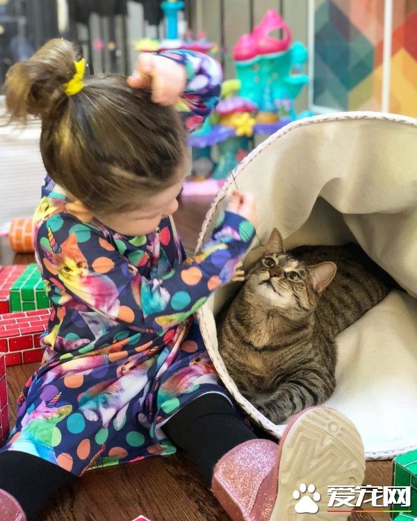 在妈妈的指导之下 小女孩超有慧根成为称职猫奴