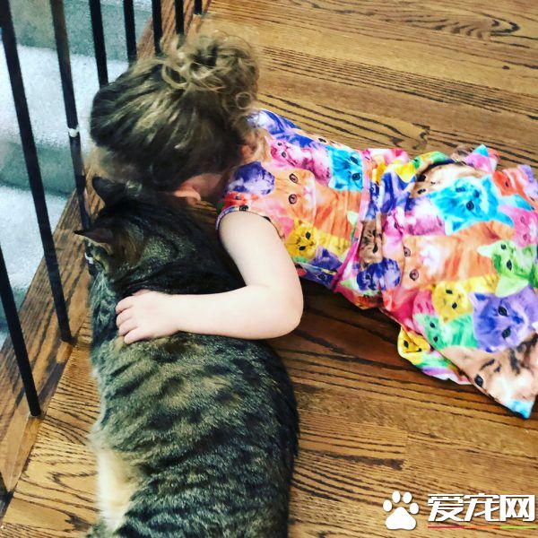 在妈妈的指导之下 小女孩超有慧根成为称职猫奴