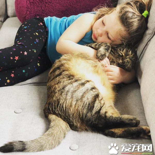 在妈妈的指导之下 小女孩超有慧根成为称职猫奴