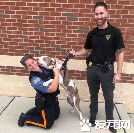 比特犬被主人绑树上虐待 幸得志工和警察帮助获得解救