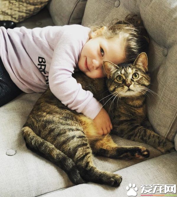 在妈妈的指导之下 小女孩超有慧根成为称职猫奴