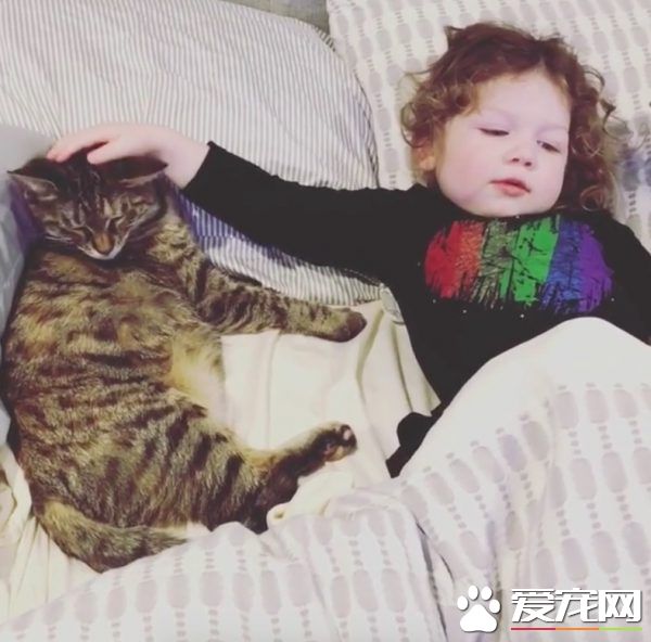 在妈妈的指导之下 小女孩超有慧根成为称职猫奴