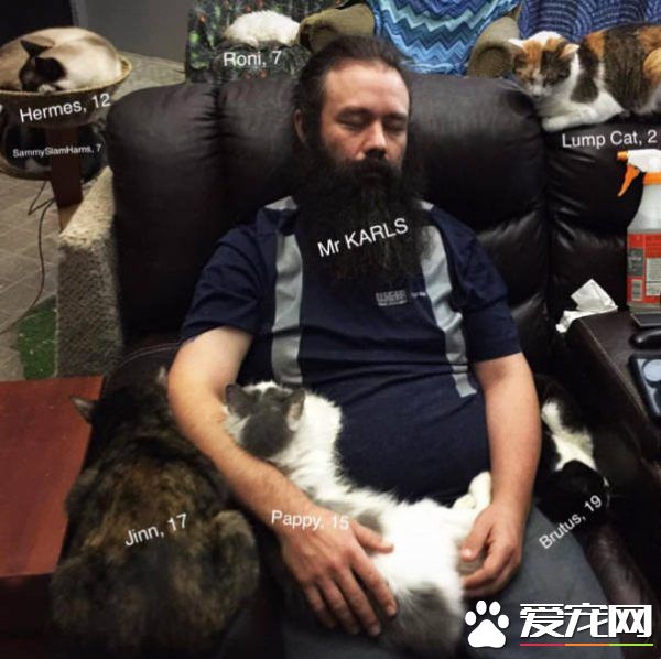 爱猫男子创办猫咪收容之家 让老猫们有一个温暖的家