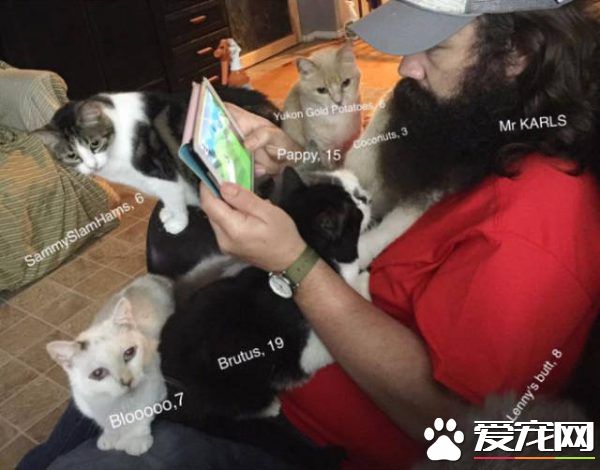 爱猫男子创办猫咪收容之家 让老猫们有一个温暖的家
