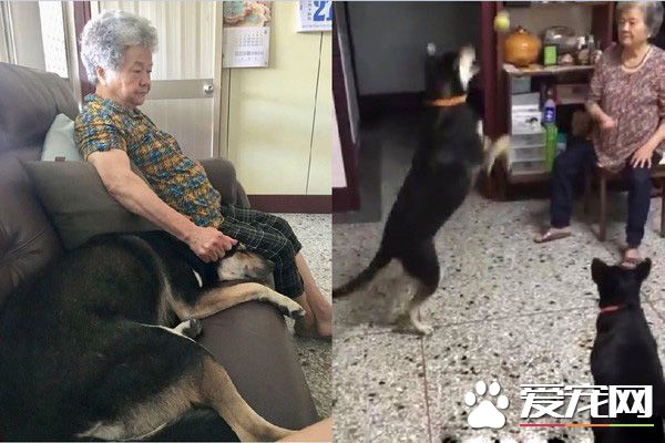 米克斯在阿婆家住半年 从少女变成了大婶