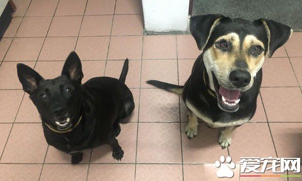 米克斯在阿婆家住半年 从少女变成了大婶