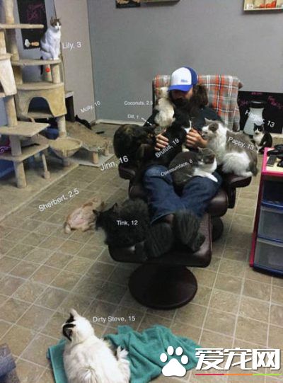 爱猫男子创办猫咪收容之家 让老猫们有一个温暖的家