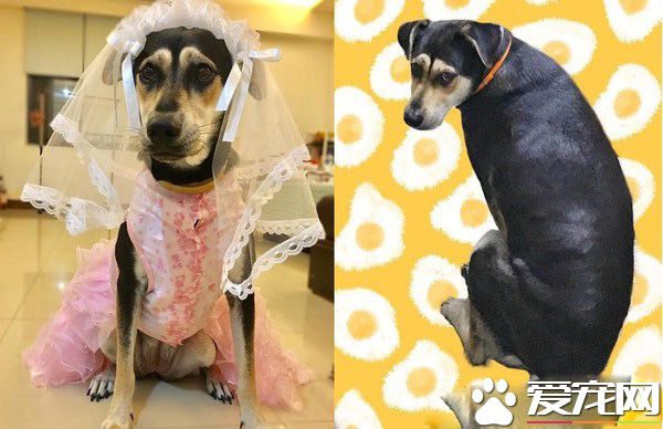 米克斯在阿婆家住半年 从少女变成了大婶