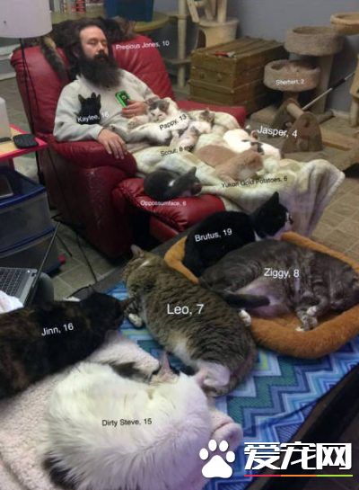 爱猫男子创办猫咪收容之家 让老猫们有一个温暖的家