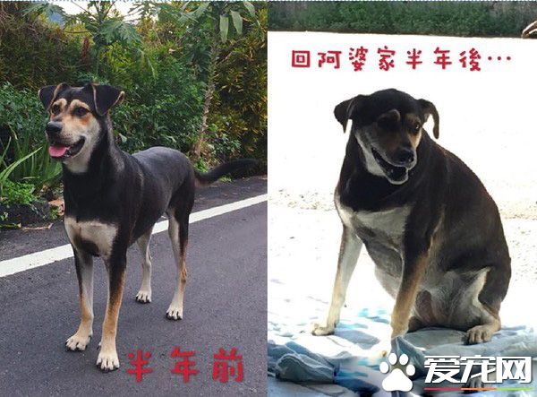 米克斯在阿婆家住半年 从少女变成了大婶