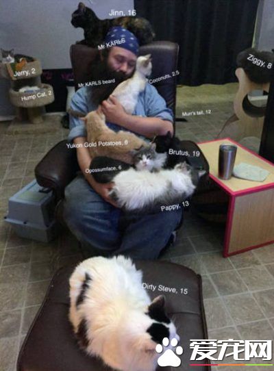 爱猫男子创办猫咪收容之家 让老猫们有一个温暖的家