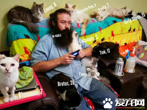 爱猫男子创办猫咪收容之家 让老猫们有一个温暖的家