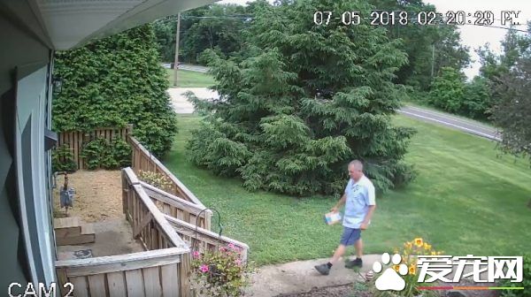 送货员是可疑份子? 原来是个十足的爱狗人士