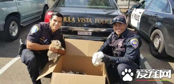 14只实验用兔被遗弃公园 目前已有好心人愿意领养