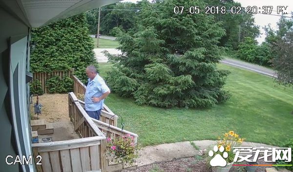 送货员是可疑份子? 原来是个十足的爱狗人士