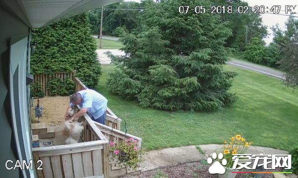 送货员是可疑份子? 原来是个十足的爱狗人士