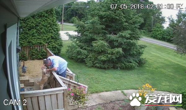 送货员是可疑份子? 原来是个十足的爱狗人士