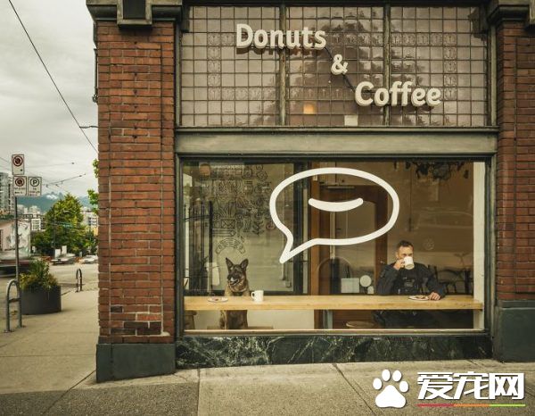 硬汉狠角色路线 警犬们的硬汉魅力迷倒大家