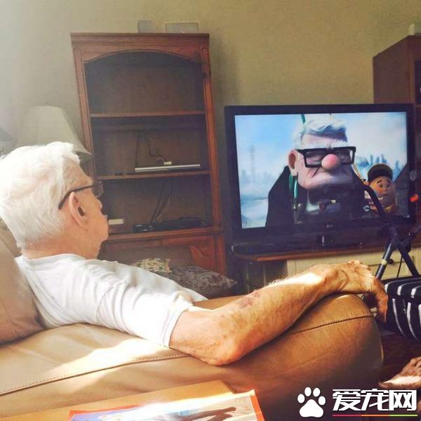 这组合超萌! 美国87岁爷爷和爱犬扮天外奇迹