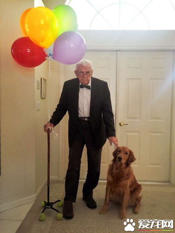 这组合超萌! 美国87岁爷爷和爱犬扮天外奇迹