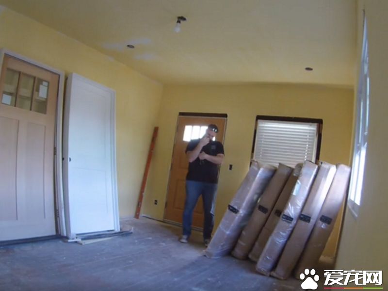 超可爱反差萌 魁梧大汉化身笨蛋猫奴