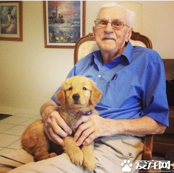 这组合超萌! 美国87岁爷爷和爱犬扮天外奇迹