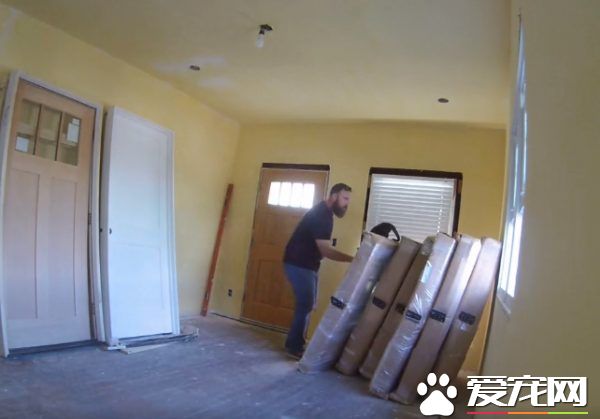 超可爱反差萌 魁梧大汉化身笨蛋猫奴