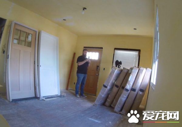 超可爱反差萌 魁梧大汉化身笨蛋猫奴