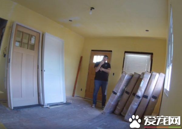 超可爱反差萌 魁梧大汉化身笨蛋猫奴