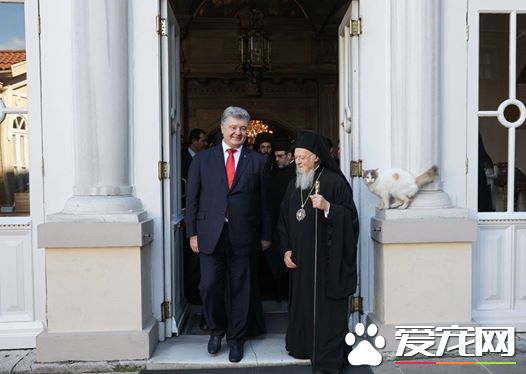 俄罗斯派来卧底的?历史性合照焦点被喵星人吸走