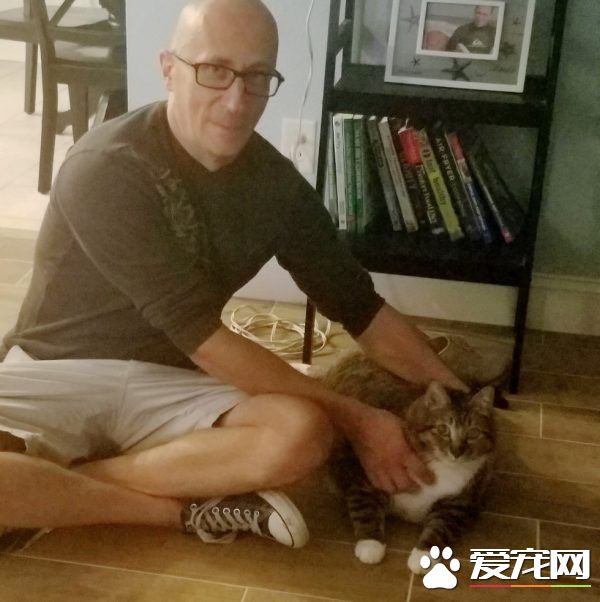 甜甜圈过重被弃养 跟随新主人向健康路迈进