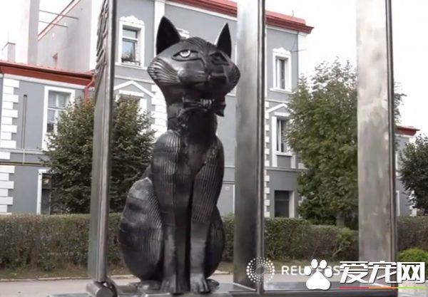 超梦幻职缺 负责照顾流浪猫的猫队长