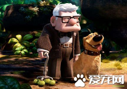 这组合超萌! 美国87岁爷爷和爱犬扮天外奇迹