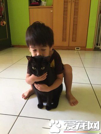 后脑勺好闻吗? 萌娃抱黑猫后脑勺狂吸