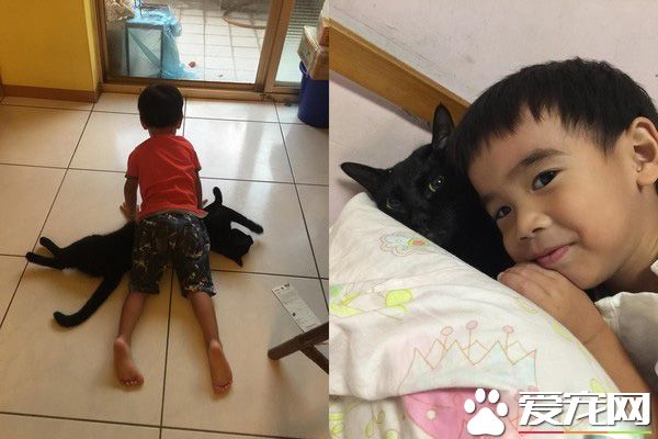 后脑勺好闻吗? 萌娃抱黑猫后脑勺狂吸