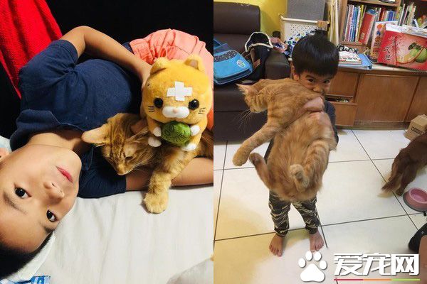 后脑勺好闻吗? 萌娃抱黑猫后脑勺狂吸