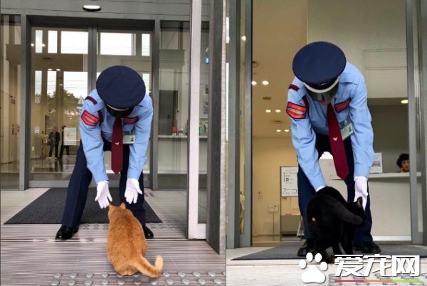 喵星人想进美术馆 和保全的攻防互动在网络上爆红