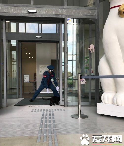 喵星人想进美术馆 和保全的攻防互动在网络上爆红