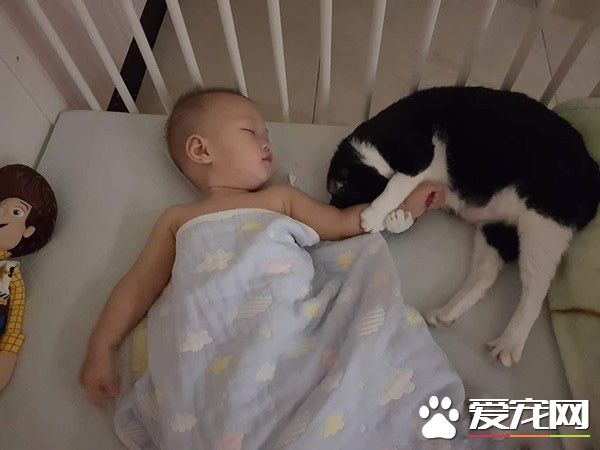 超温馨画面！萌宝跌倒引六只汪汪安慰呼呼