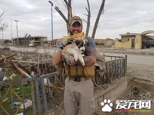 飞越3000公里！战乱幸存狗狗陪伴军人爸爸克服创伤