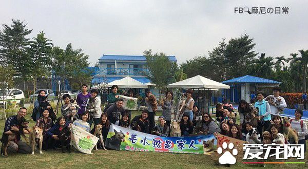 汪星人旅行团 下车都是狗惊讶到路人