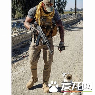 飞越3000公里！战乱幸存狗狗陪伴军人爸爸克服创伤