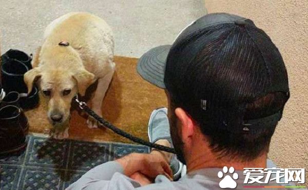 8岁拉拉被家人遗弃 病重守空房子苦等家人