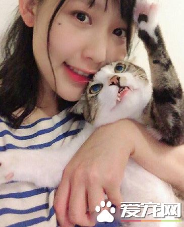 用爱卸下防心！浪猫历经10个多月才给摸抱