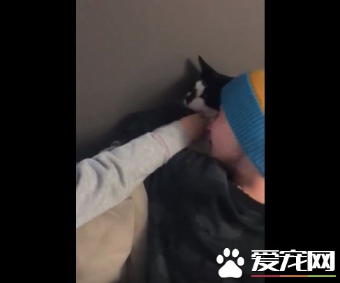 最棒的新年礼物!失而复得被通知已死亡的爱猫