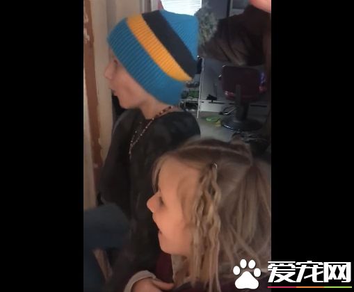 最棒的新年礼物!失而复得被通知已死亡的爱猫