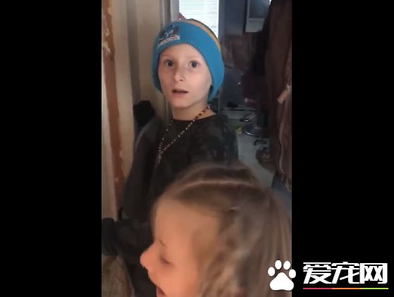 最棒的新年礼物!失而复得被通知已死亡的爱猫