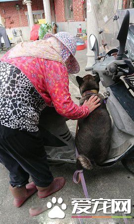 黑汪也要跟去买肉肉 阿嬷怎么哄就是不下车